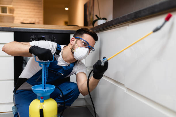 Best Emergency Pest Control  in Mulberry, FL