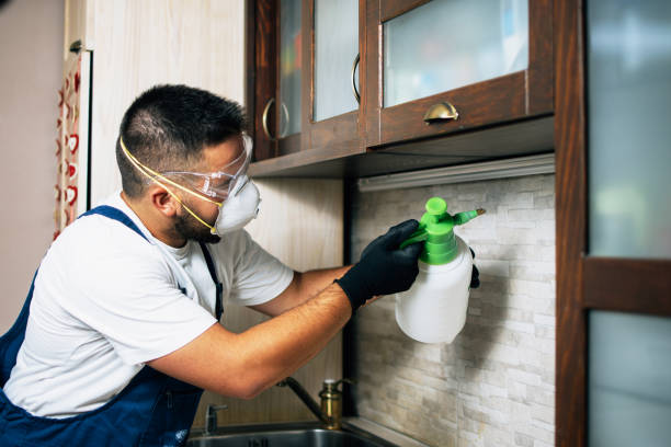 Pest Control for Restaurants in Mulberry, FL