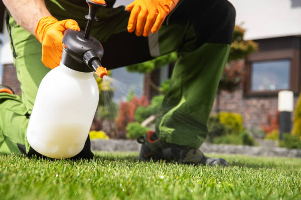 Best Best Pest Control Companies  in Mulberry, FL