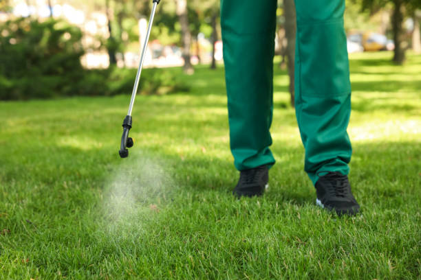 Pest Control Cost in Mulberry, FL