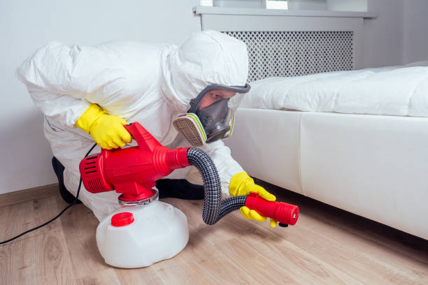 Best Pest Removal Services  in Mulberry, FL