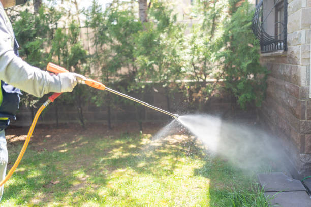 Best Residential Pest Control  in Mulberry, FL