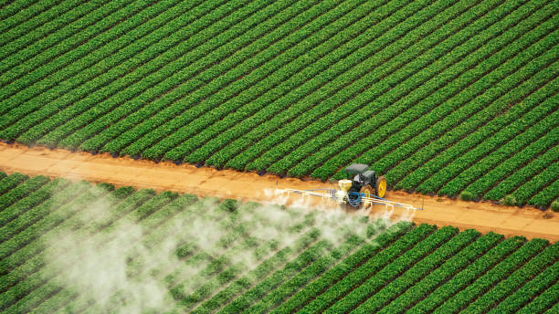 Best Commercial Pest Control Services  in Mulberry, FL