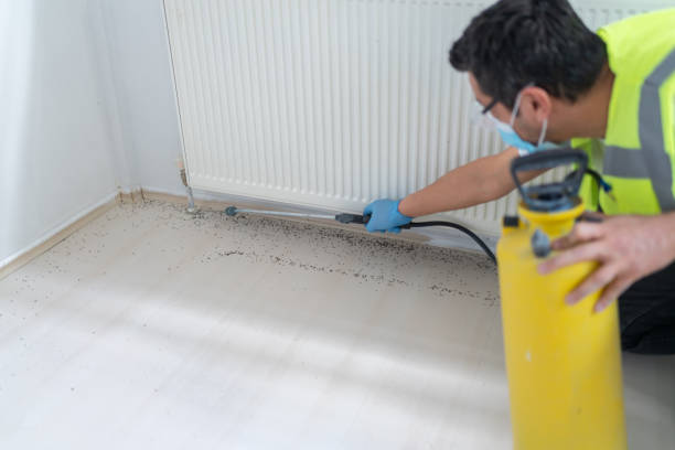 Best Affordable Pest Control Services  in Mulberry, FL